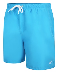 Bigdude Plain Swim Shorts Turquoise